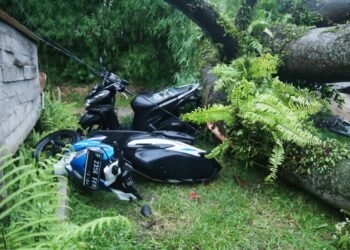 Hujan Deras Disertai Angin Kencang Terjadi 29 Titik bencana di Kota Bogor