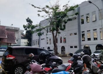 Pohon Plamboyan di Area Parkir DPMPTSP Kota Bogor Membahayakan