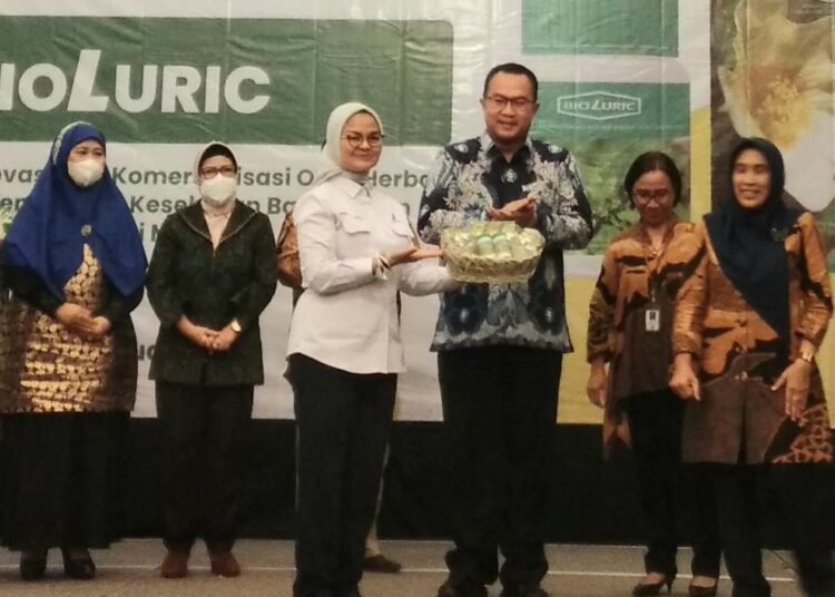 Peneliti IPB University Ciptakan Obat Tradisional Antigout
