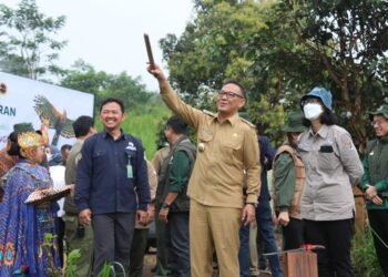 Pemkab Bogor Minta Balai Taman Nasional Tindak Tegas Pemburu Liar Elang Jawa