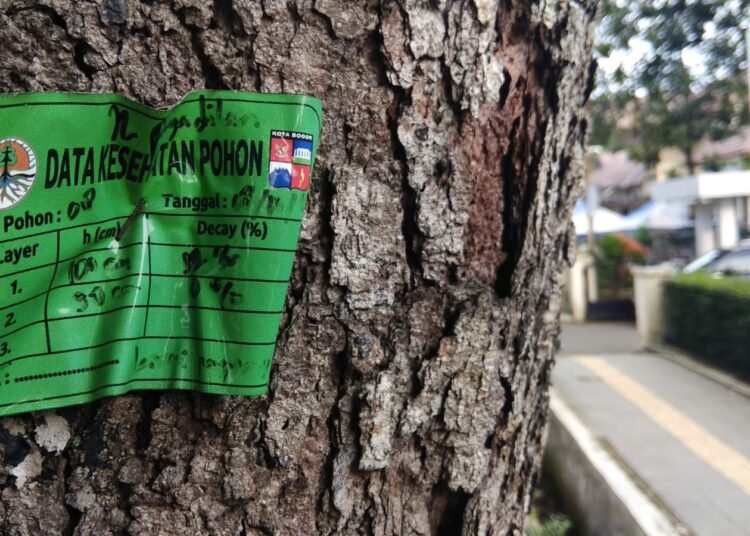 500 Pohon di Kota Bogor Dipasang KTP