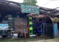 Depo Ikan Hias Cikaret dan Laladon Banyak yang Tutup