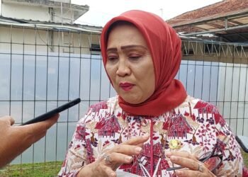 Kadinkes Kab Bogor Apresiasi Perkembangan Pelayanan dan Fasilitas RSAU dr. M. Hassan Toto