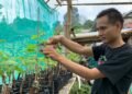 Berawal Dari Hobi, Mustafa Bisa Menikmati Cuan Dari Budidaya Bibit Anggur Impor