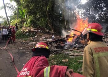 Peternakan Ayam di Pamijahan Ludes Terbakar