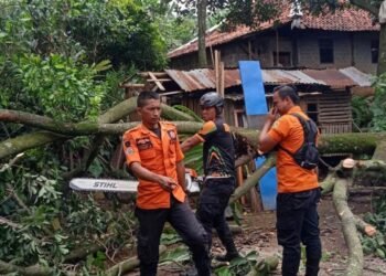 BPBD Catat Ada 11 Kecamatan Yang Terdampak Angin Kencang di Kabupaten Bogor
