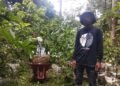 Petani di DKPP Selamatkan Aset Tanaman