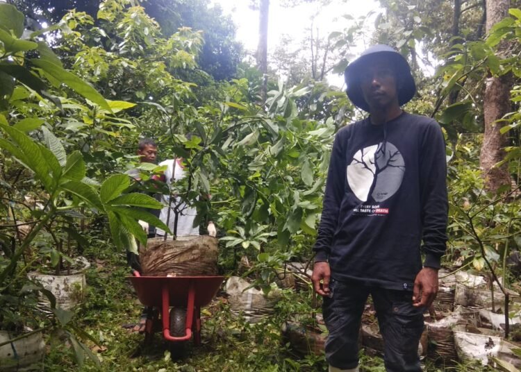 Petani di DKPP Selamatkan Aset Tanaman