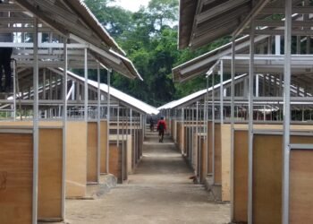 TPS Pedagang Jambu Dua, Perumda PPJ: Progres Capai 75 Persen