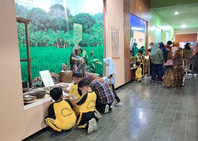 Munasain Puslitbio – LIPI, Museum Paling Pas Untuk Wisata Edukasi