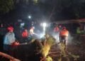 Diguyur Hujan, 3 Pohon Tumbang di Kota Bogor