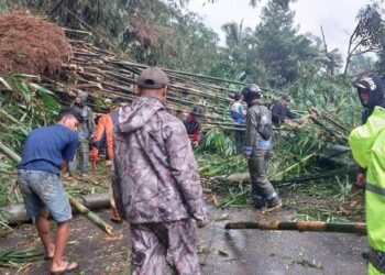Tebing 4 Meter di Cigombong Longsor, Akses Warga Tertutup