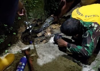 Damkar Bogor Tangkap Ular Sanca yang Berkeliaran di Pemukiman 1