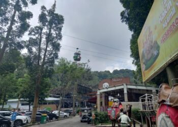 Ngabuburit Seru Dengan Kereta Gantung di Taman Safari Bogor, Nikmati Pemandangan Indah Dari Ketinggian