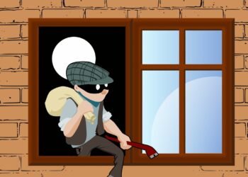 Maling Apes di Cibinong Kepergok Nyolong Uang di Laci Warung