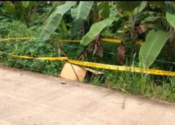 Polisi Terus Selidiki Identitas Mayat Mutilasi Di Dalam Koper