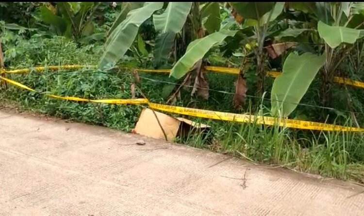 Polisi Terus Selidiki Identitas Mayat Mutilasi Di Dalam Koper
