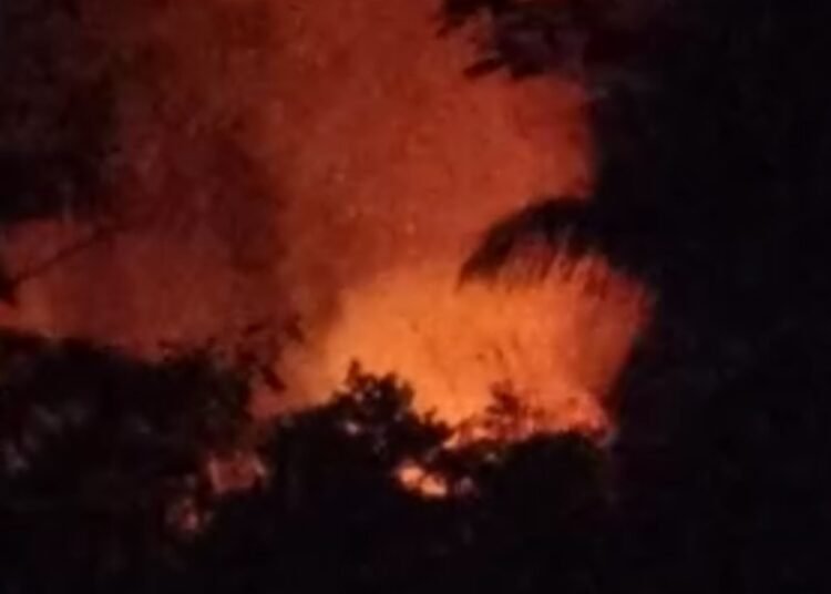 Tabung Gas Bocor, Peternakan Ayam Di Leuwiliang Ludes Terbakar