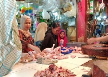 Sepekan Jelang Lebaran Harga Daging Sapi dan Ayam Naik