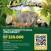 Promo Diskon Lebaran 2023 Tiket Masuk Taman Safari Bogor, Buruan Booking dari Sekarang!