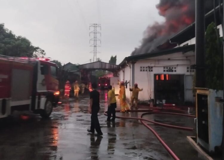 Mesin Tersambar Petir, Ruang Produksi PT Sin Young Ludes Terbakar