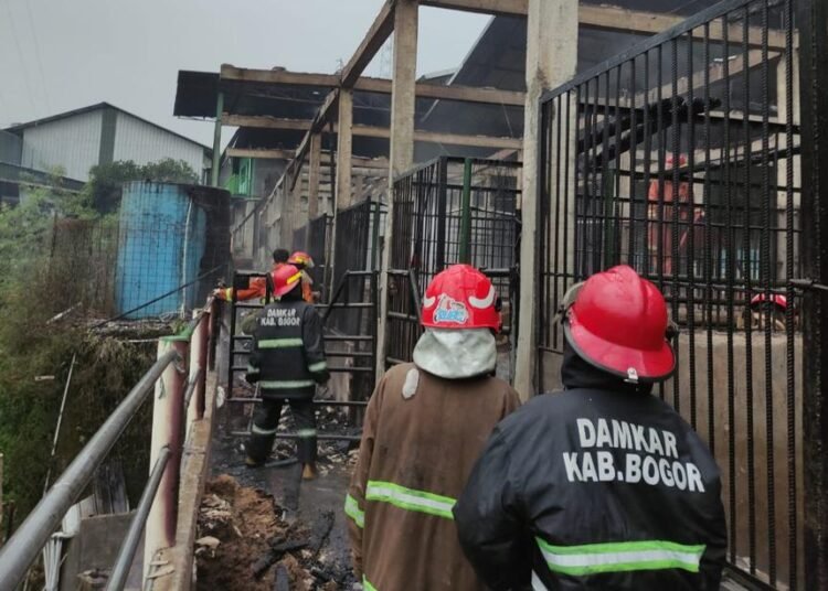 Kandang Kuda Milik Rumah Doa Anak Yatim Terbakar, Sembilan Ekor Kuda Terpanggang