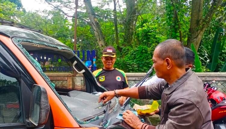 Pohon Tumbang Timpa Mobil di Bogor, Pengemudi Terluka