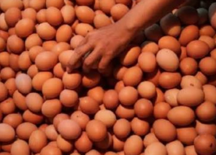 Harga Telur di Kota Bogor Naik, Kini Tembus 32 Ribu Per Kilogram