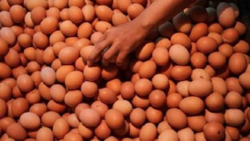 Harga Telur Di Kota Bogor Naik, Kini Tembus 32 Ribu Per Kilogram