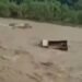 Bermaksud Ngangkut Pasir, Satu Unit Truk Terseret Banjir Bandang di Tanjungsari