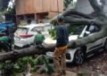 Antisipasi Pohon Tumbang di Kota Bogor Masih Lemah