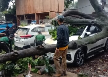 Antisipasi Pohon Tumbang di Kota Bogor Masih Lemah