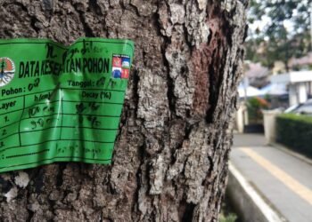 Disperumkim Integrasikan Pohon Ber-KTP Ke GIS