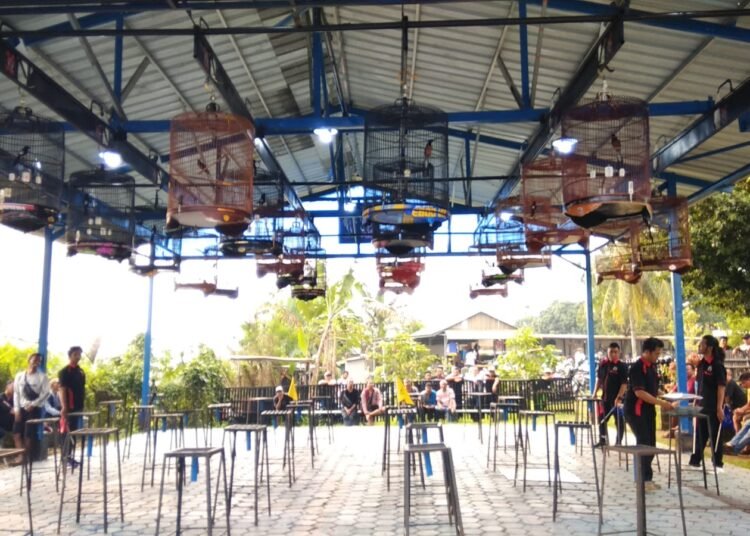 Kicauan Burung Bersahutan Warnai Lion Field