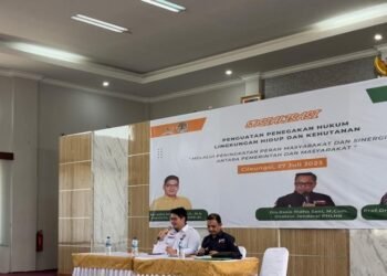 Penegakan Hukum Lingkungan