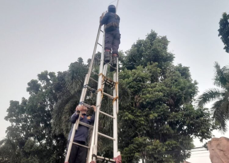 Momen Damkar Bogor Evakuasi Tali Tersangkut di Tiang Bendera