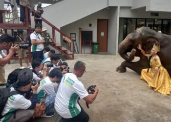 Roadshow di Taman Safari Bogor, Lomba Foto Satwa IAPVC 2023 Resmi Dibuka, Panitia Siapkan Hadiah Mobil Listrik!