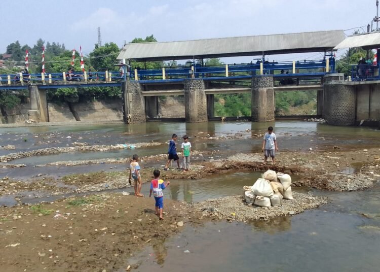 Dilanda Kekeringan, Bendung Katulampa Jadi Tempat Berburu Ikan