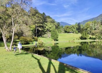 Kebun Raya Solusi Penyeimbang Kebutuhan Udara Bersih Bagi Masyarakat Perkotaan