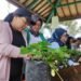 Butuh Udara Segar Ditengah Polusi Tinggi, Dua Tempat Ini Solusinya.