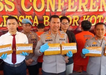 Polisi Amankan 11 Kilogram Ganja dari Persawahan di Cikaret