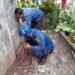 14 Ekor Anak Ular Kobra diCibinong