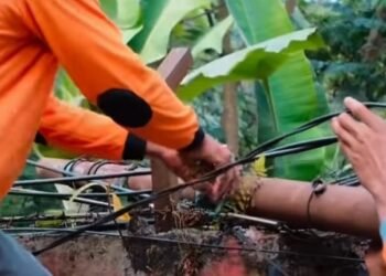 Tiang dan Kabel 'Tak Bertuan' di Kota Bogor Siap-siap Dieksekusi