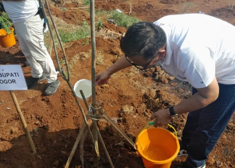Tata Stadion Pakansari, Pemkab Bogor Tanam 850 Pohon