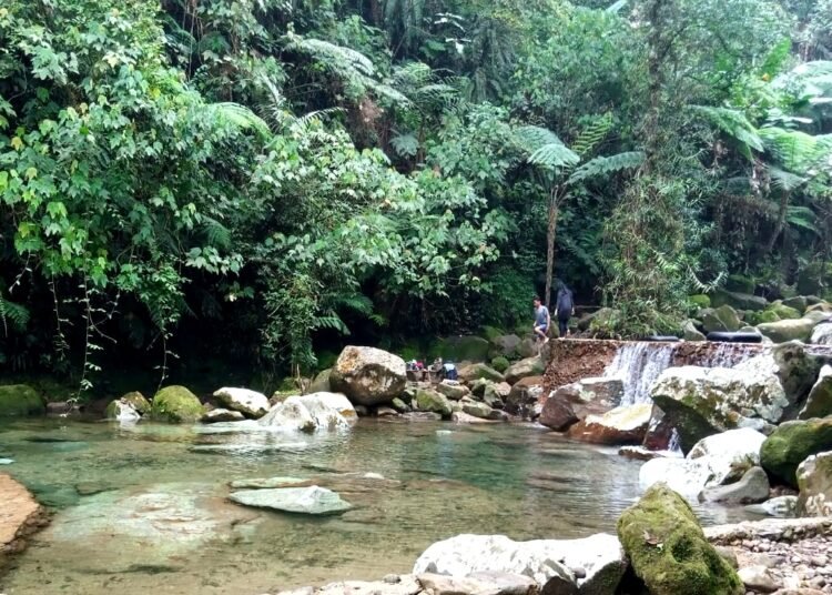 Menyibak Pesona Wisata Lembah Leuwi Asoka di Pamijahan
