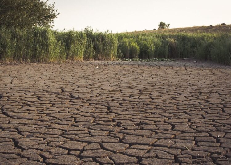 Antisipasi Kekeringan, BPBD Kota Bogor Siap Pasok Air Bersih