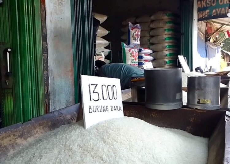 Harga Beras Naik, Warga Berharap Pemerintah Gelar Operasi Pasar