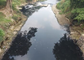 KP2C Ajak Bupati Bogor Susur Sungai Cileungsi yang Tercemar