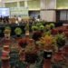 Ratusan Aglaonema Nusantara Adu Keindahan di Bogor