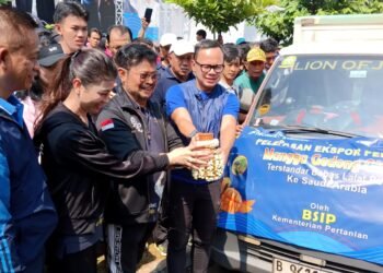 Mangga Gedong Gincu dan Ayam KUB Tembus ke Arab Saudi dan Timor Leste